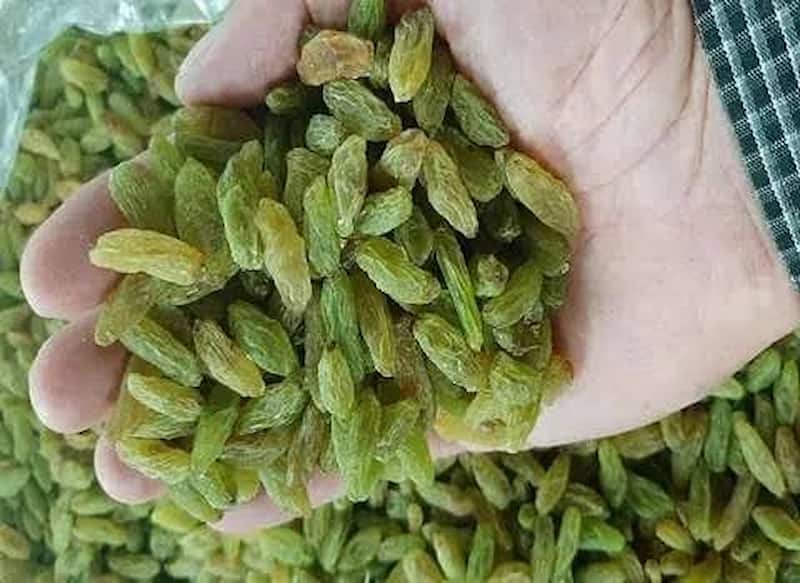 خرید و قیمت کشمش سبز درجه یک + فروش عمده
